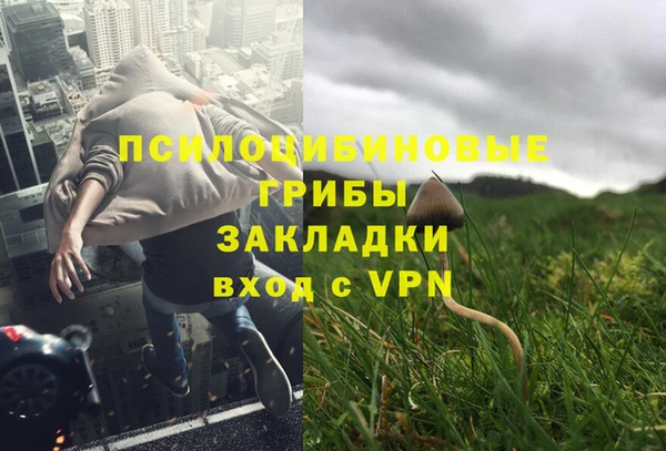 ALPHA PVP Арсеньев