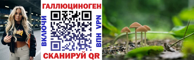 Галлюциногенные грибы GOLDEN TEACHER  Острогожск 